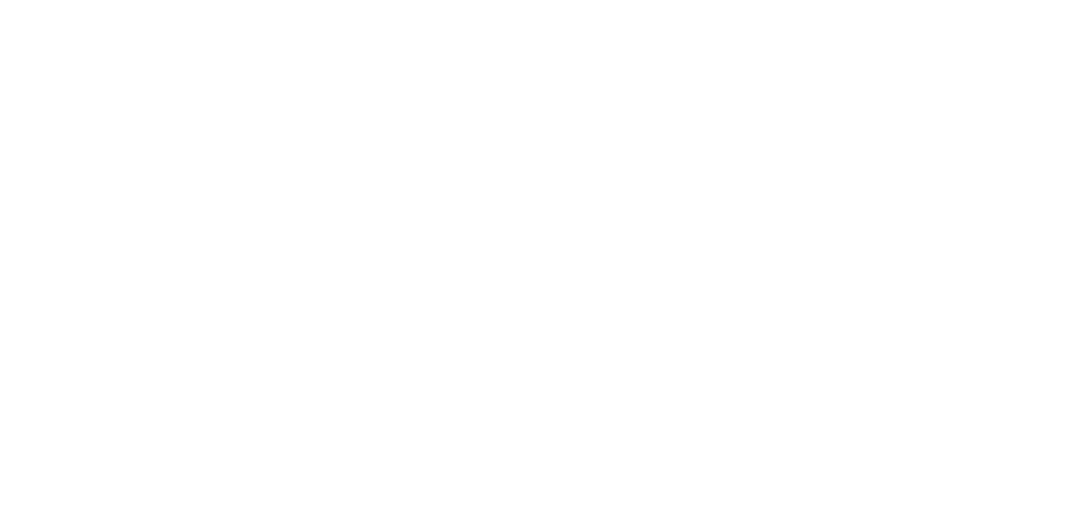 HMN Health Marketing Network